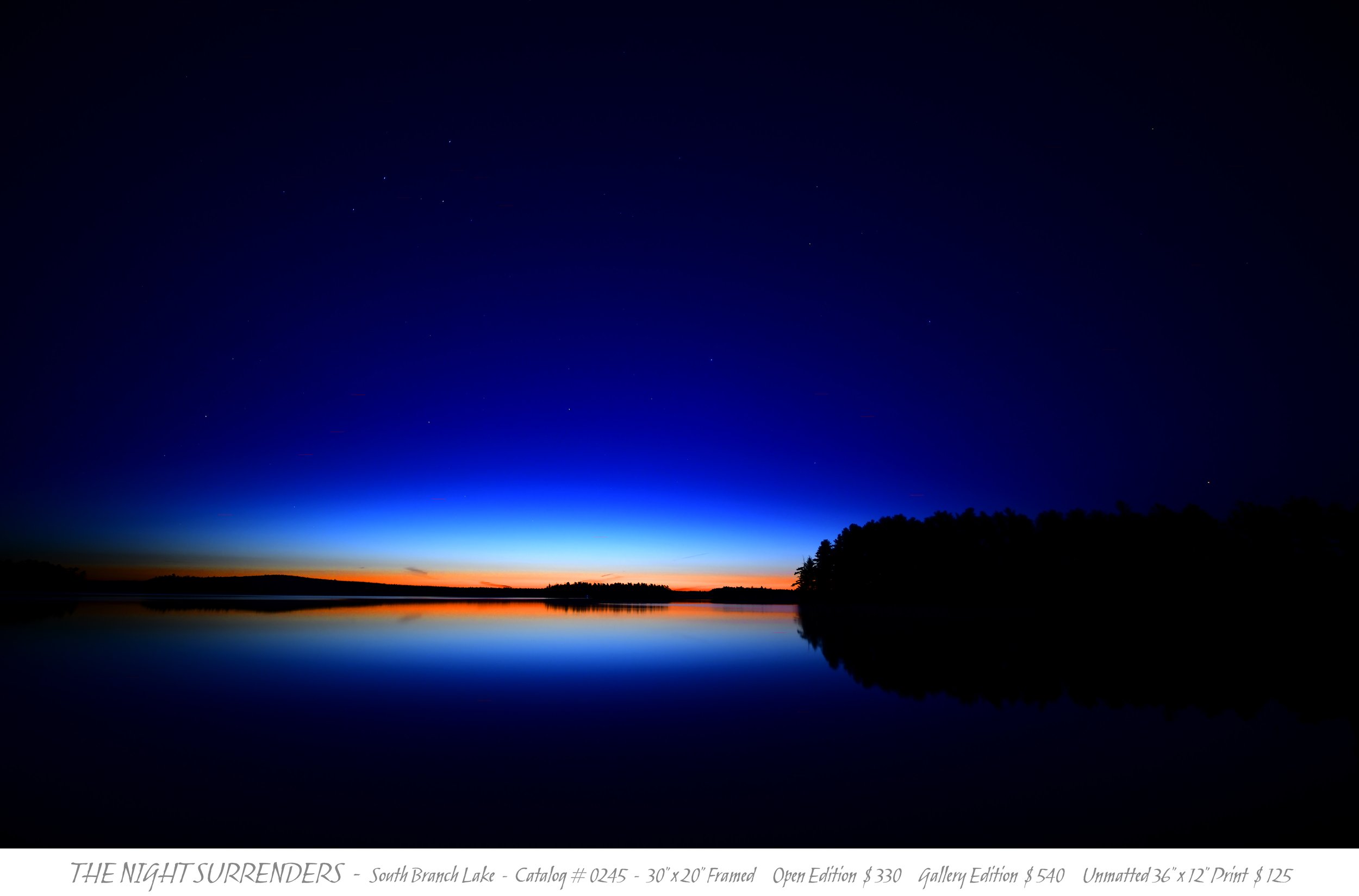 0245 - THE NIGHT SURRENDERS - TITLE BLOCK.jpg