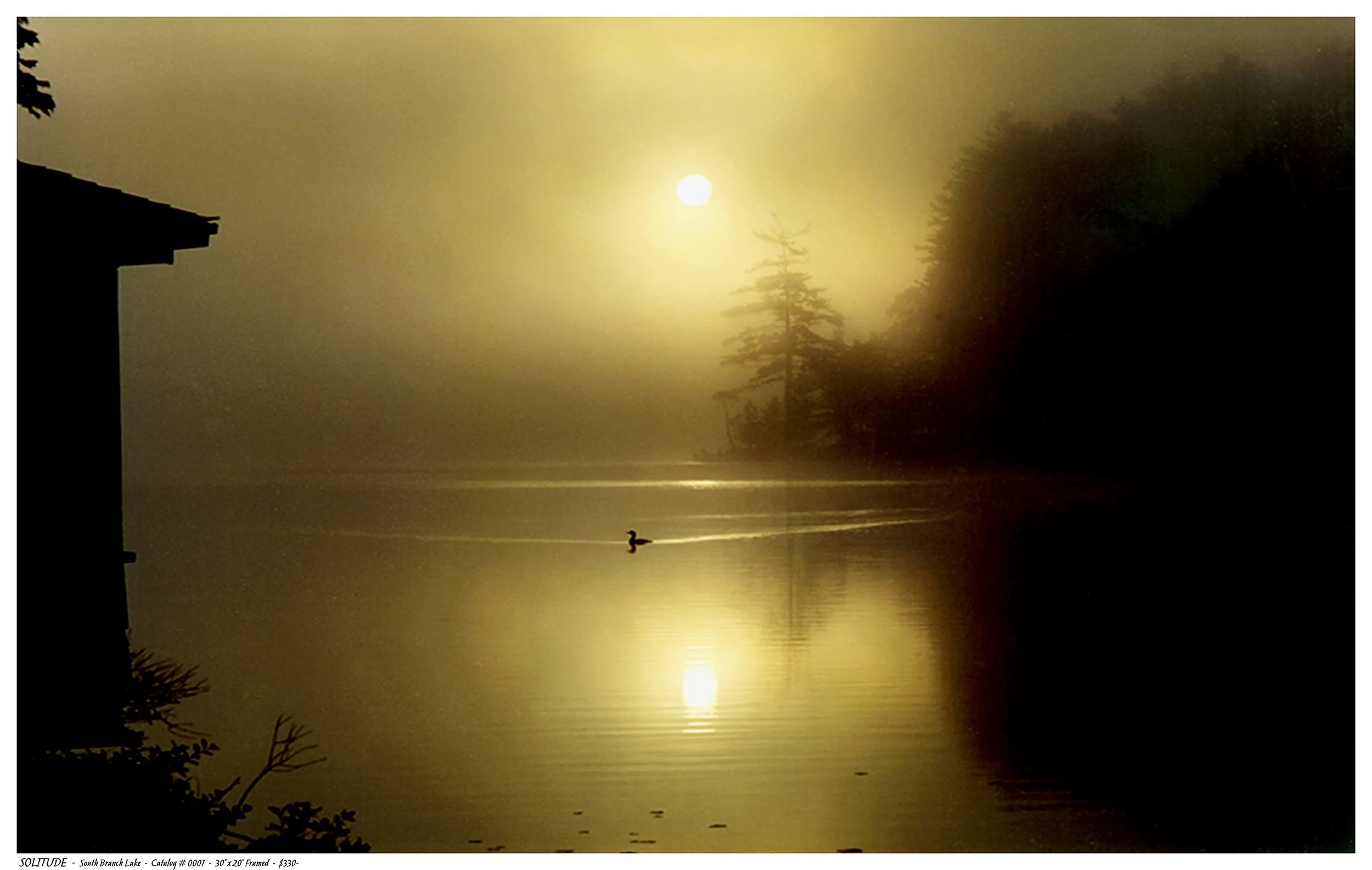 0001 - SOLUTUDE - UPLOAD TITLE BLOCK.jpg