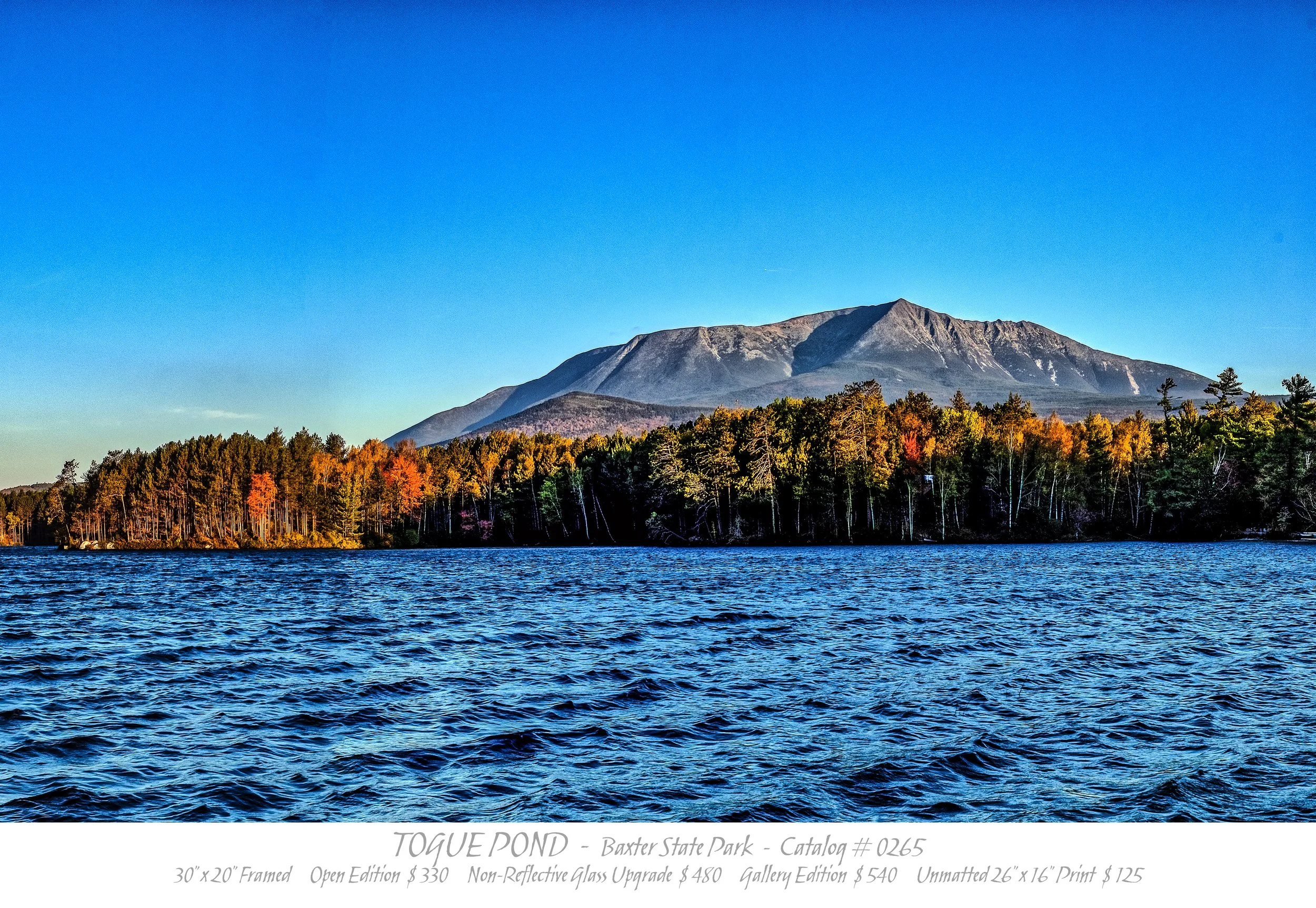 0265 - TOUGUE POND - TITLE BLOCK.jpg