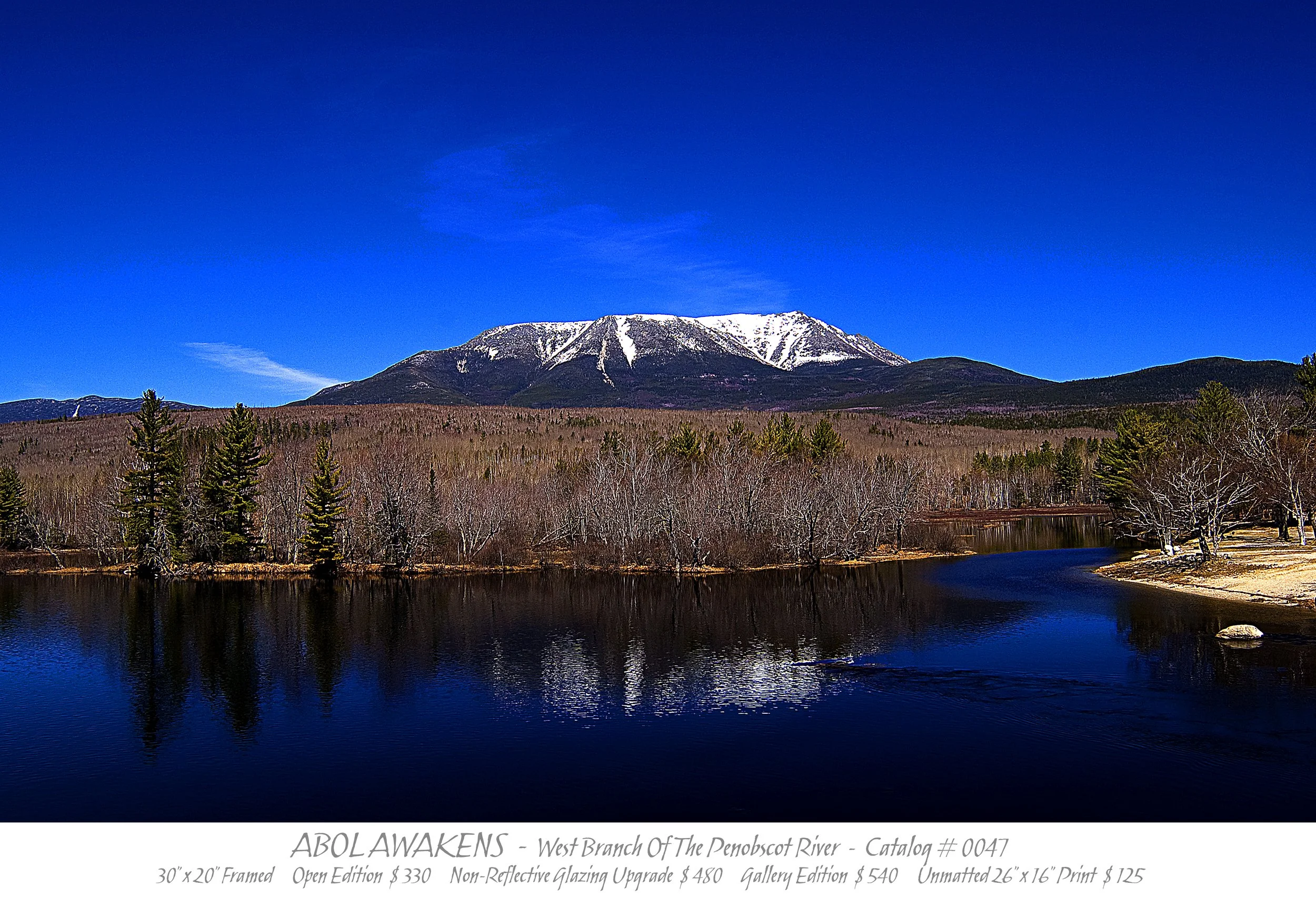 0047 -ABOL AWAKENS - TITLE BLOCK.jpg