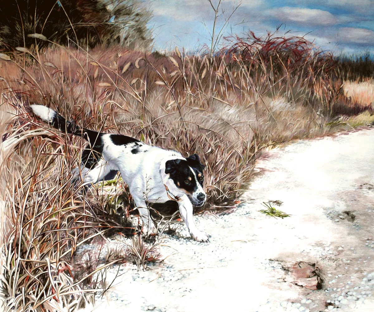 Rags-in-Grass-finished-smaller-for-web.jpg
