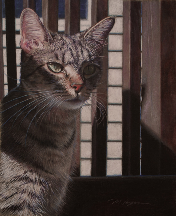 Stripes Hooligan, 13x16" colored pencil, artist reference ©Margi Hopkins 2014
