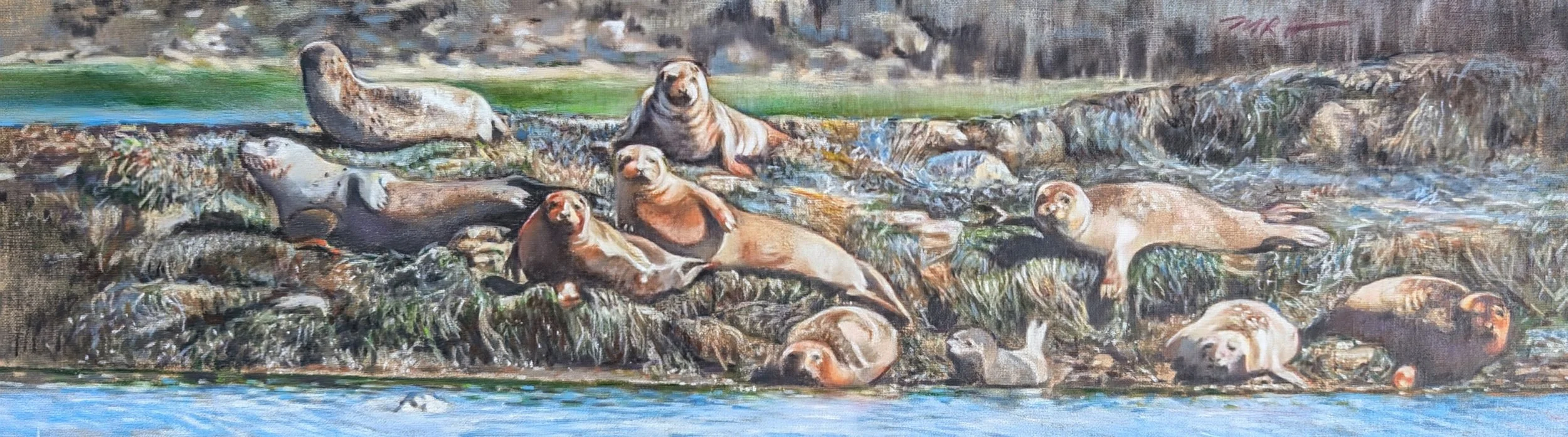 Bay watch