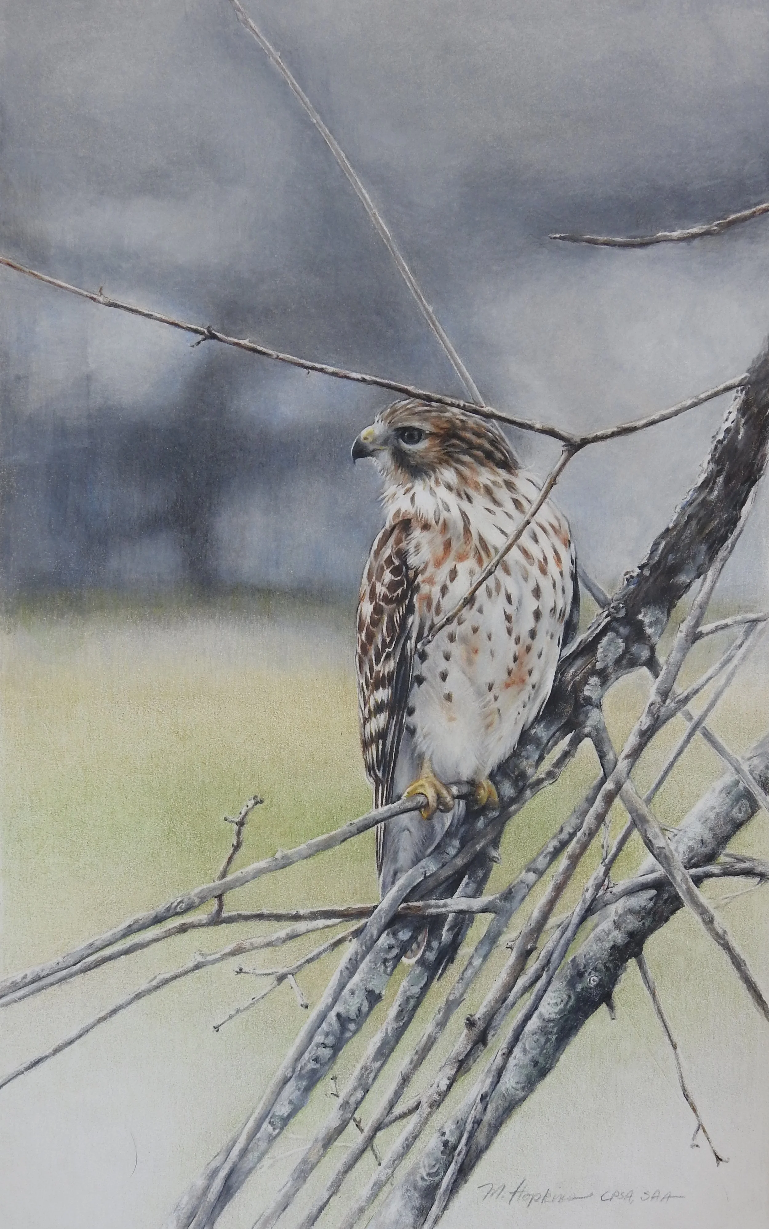 Neighborhood Watch.jpg