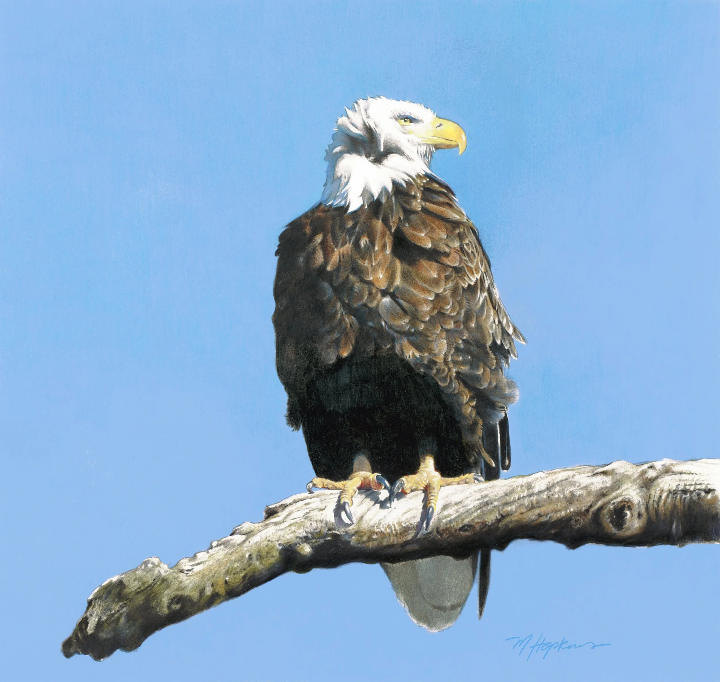 American Success SAA.jpg