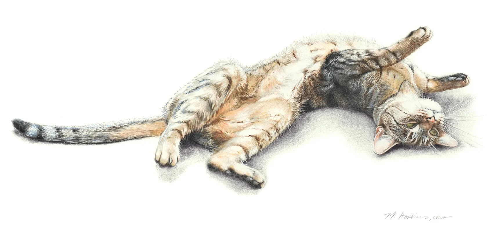  The position says it all.  A cat that shows their belly is completely relaxed and trusting. This epitomizes the male Tabby.  Prints are available in the original art size: roughly 16 ×29” with a 2” border $195.00 (*ask to customize if you have a spe