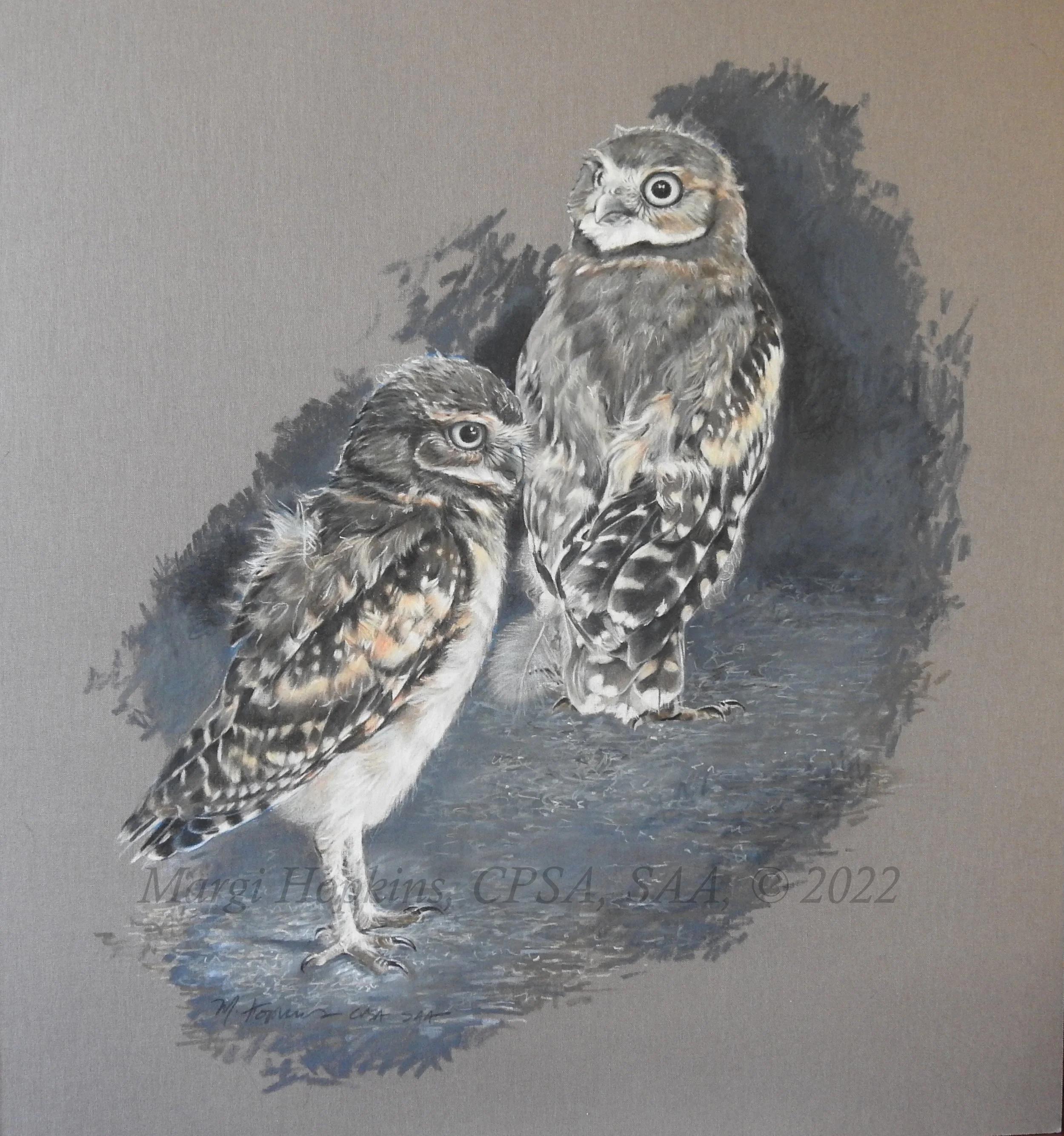 Burrowing Owls