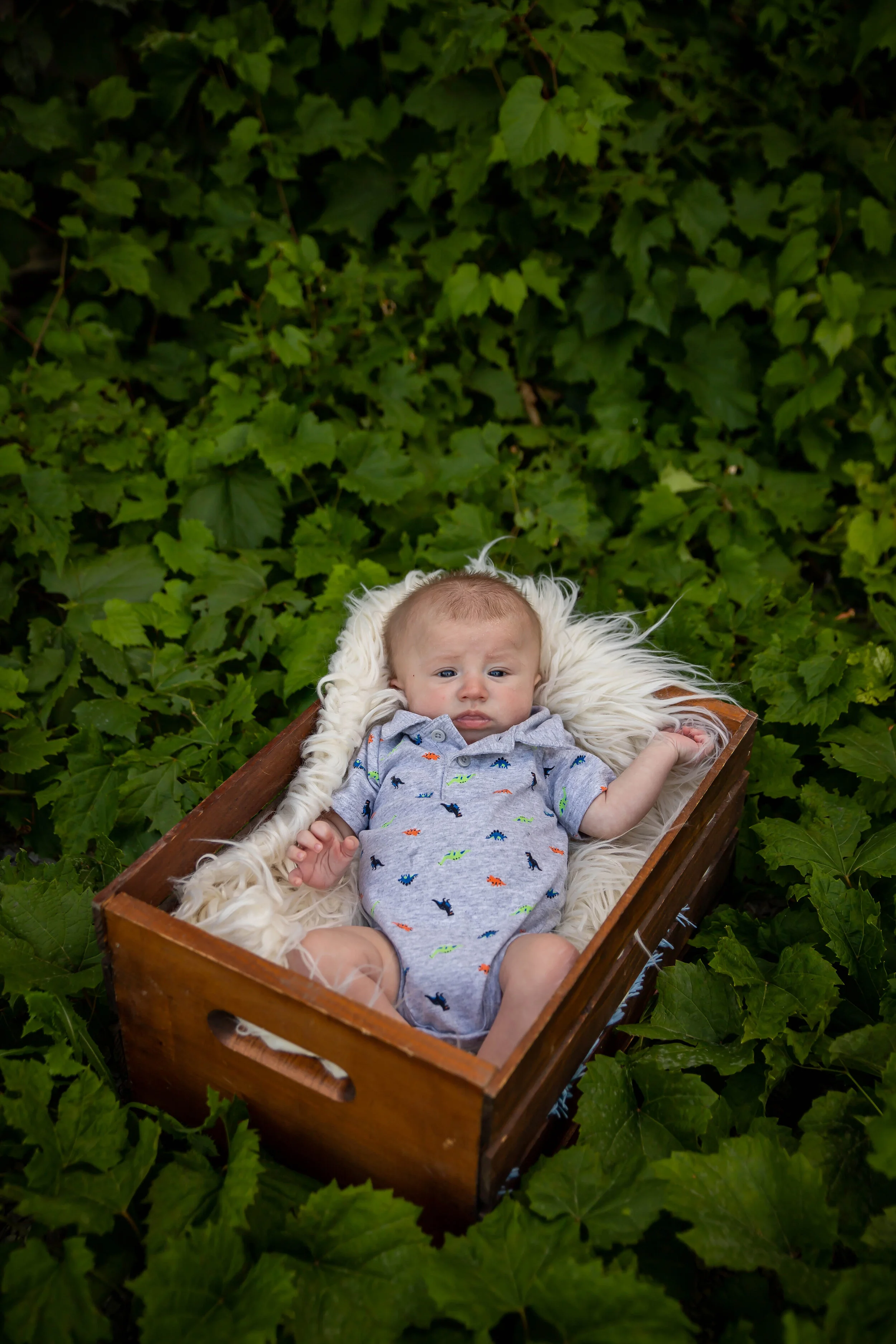 Dusty Boots Photography