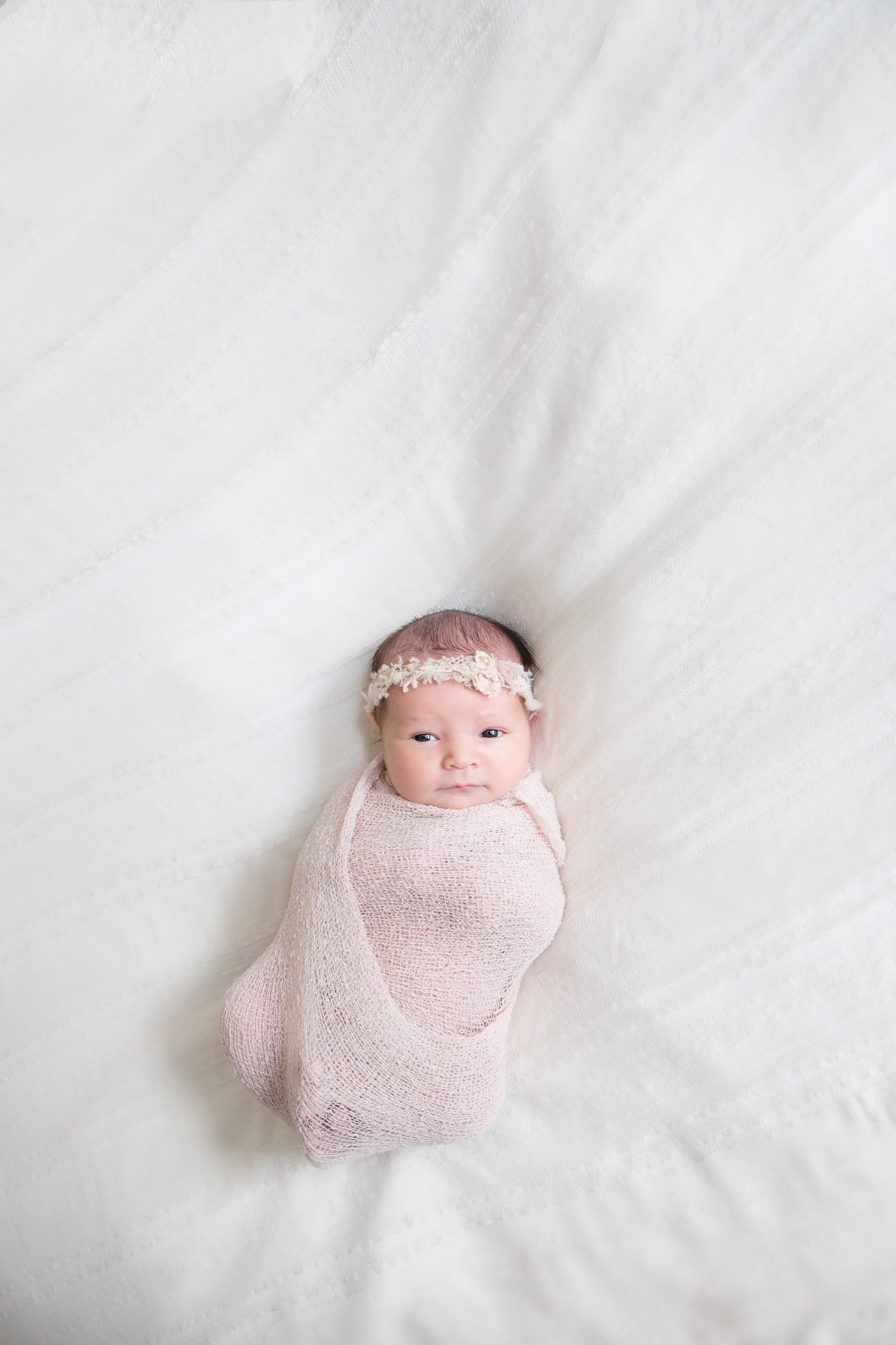 Summer Newborn1.jpg
