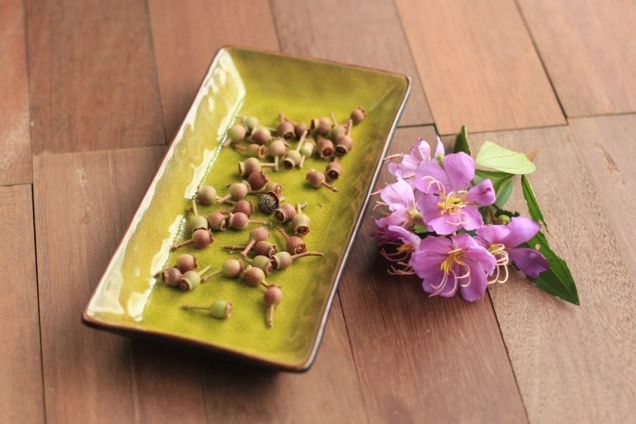 "I came up with this recipe to tell my fellow Sabahans that we do have edible wild berries here in Sabah. We don’t need imported berries. In fact we have a wild berry that is quite similar to blueberry known as Kemunting /Karamunting /Dundoruk too. But due to our ignorance and negligence this berry is very hard to find these days."