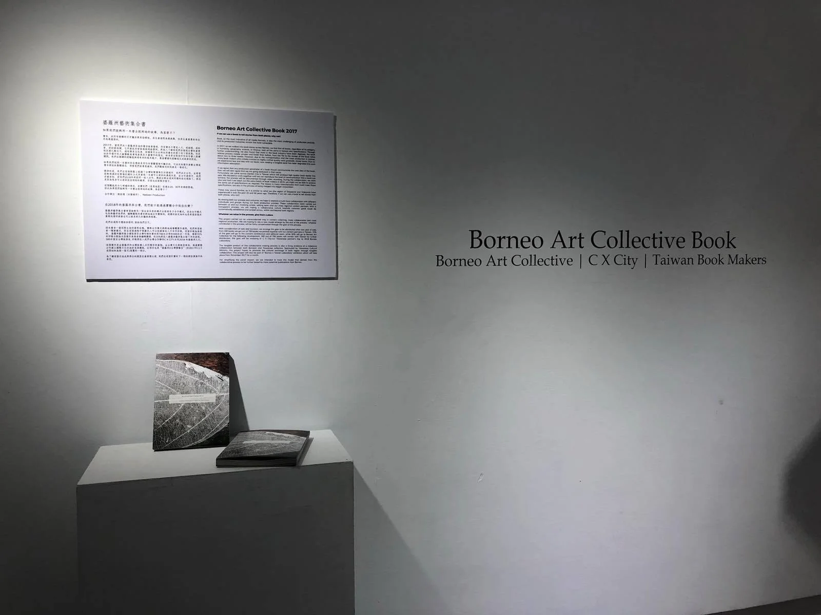 Borneo Art Collective Book 