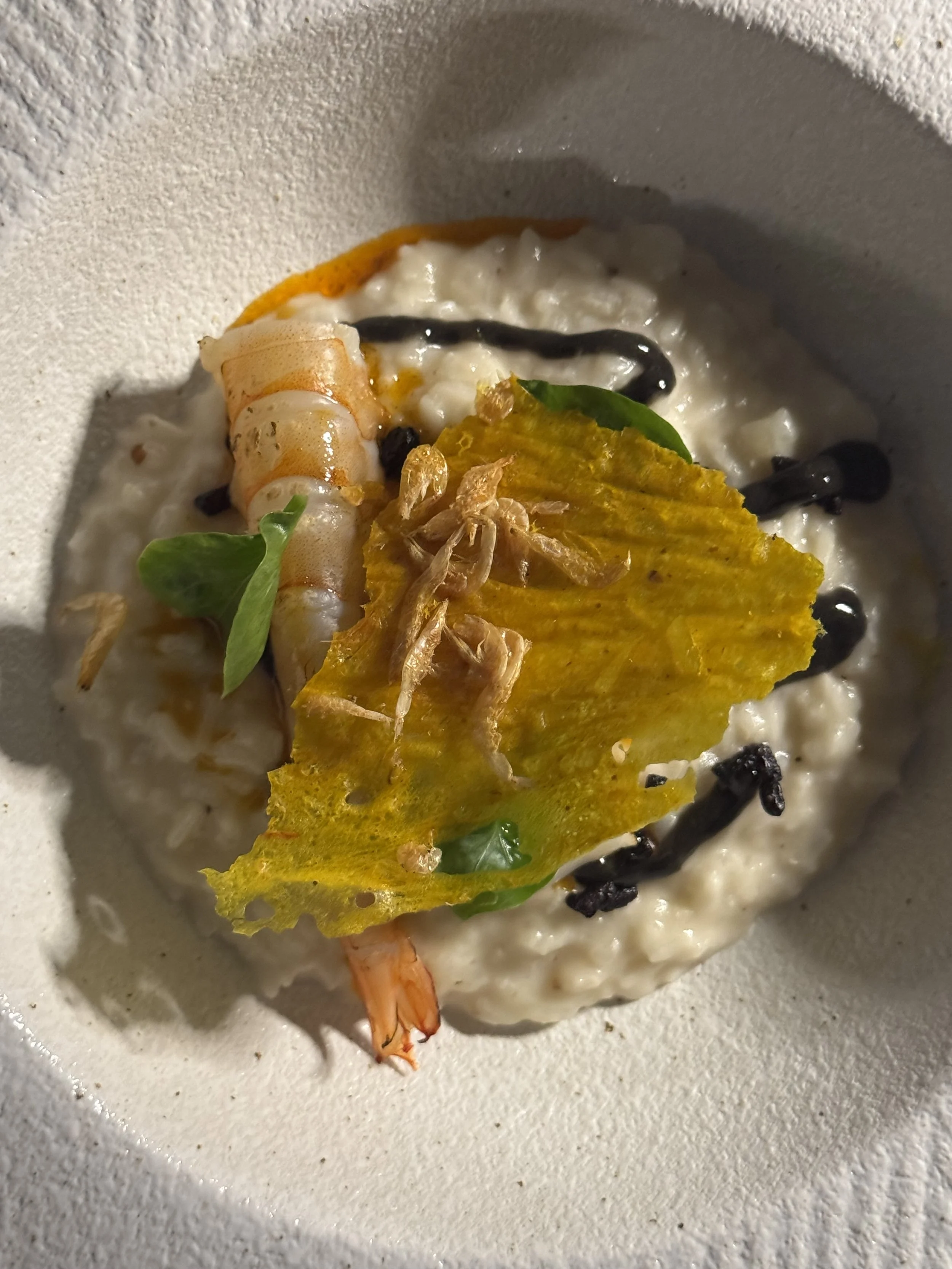 Photo 05-03-2026, 7 59 04 PM.jpg