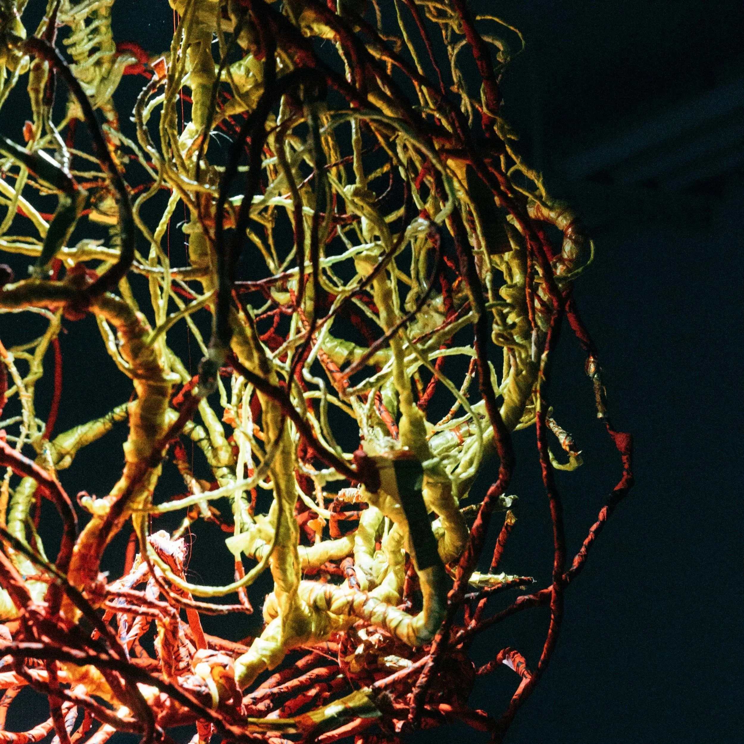 Art Residency Profile III - Min Jou Lee