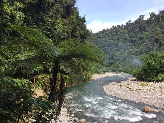 bohorok-river Sumatra orangutan treks.jpg