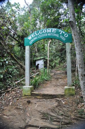 The entrence to gunung leuser national park.jpg