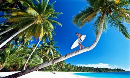 surf.jpg