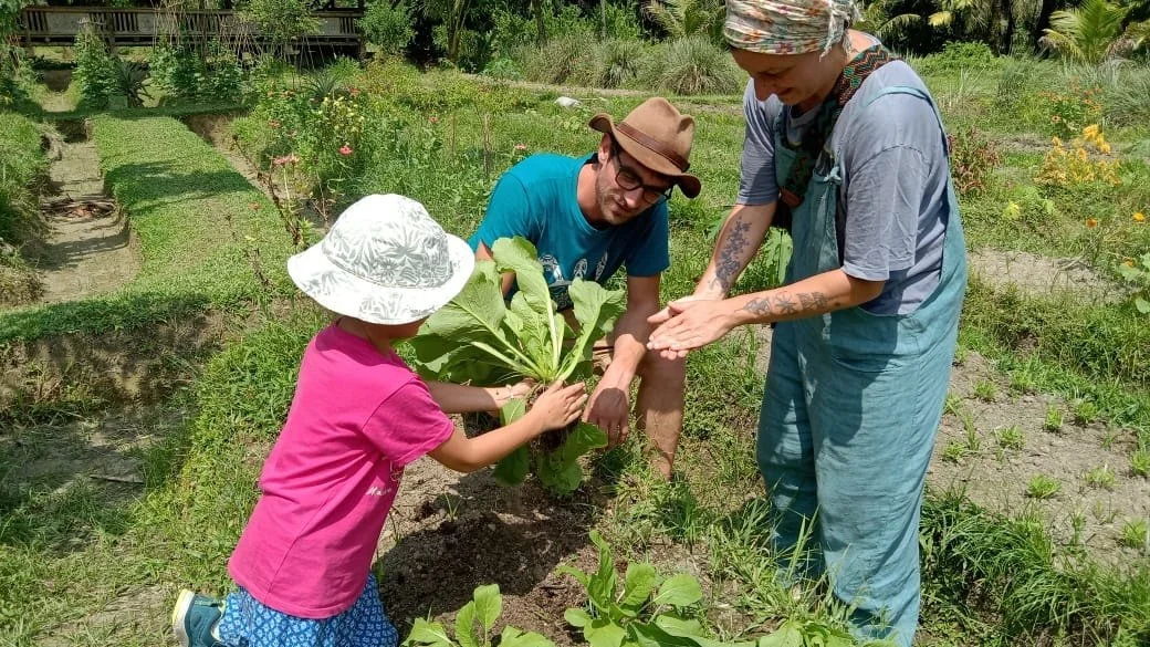 Erna Eco Farm Bukit Lawang: Growing Sustainable Farming and Community Support