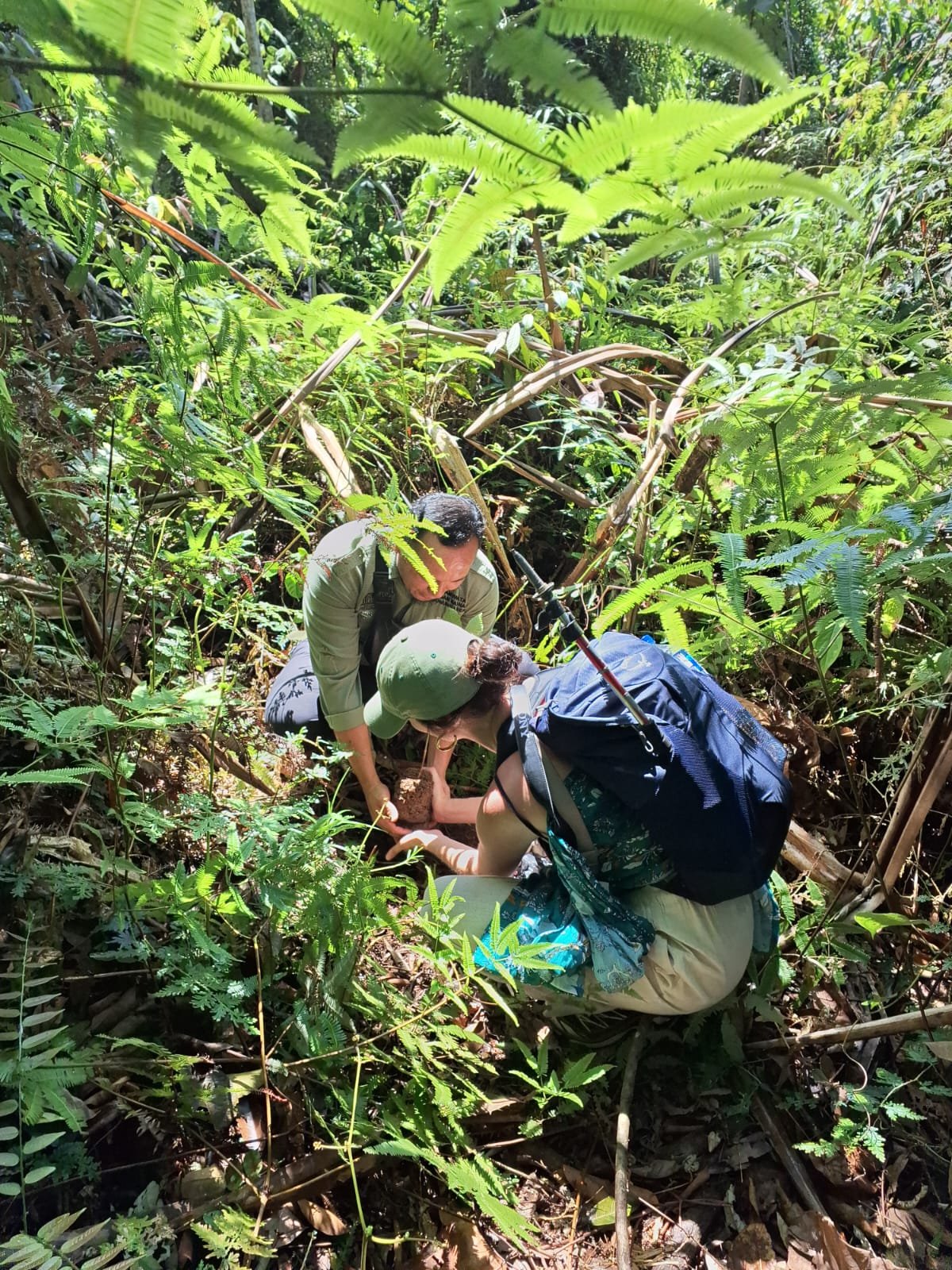 WhatsApp Image 2026-02-11 at 10.58.20 (1).jpeg