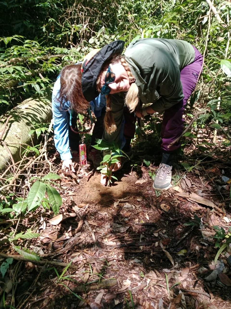 WhatsApp Image 2026-02-10 at 12.39.11.jpeg