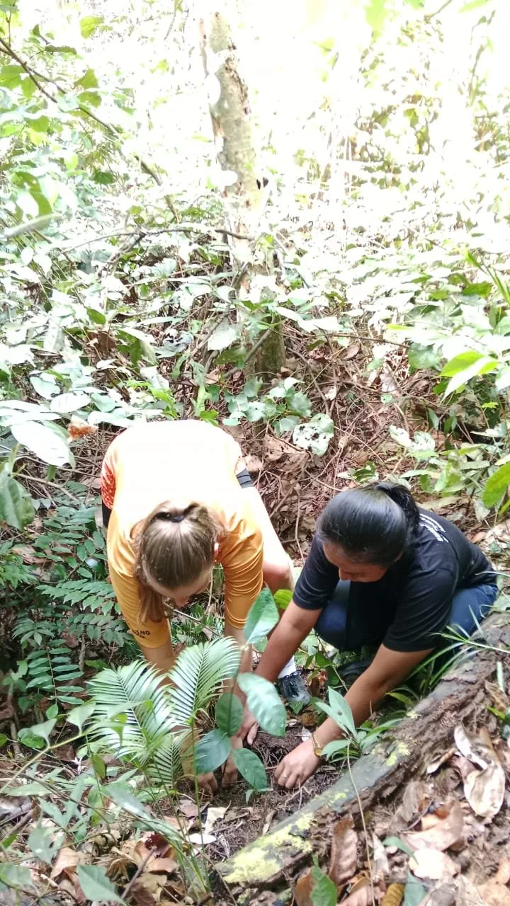 Trekking with Purpose: Planting the Future of the Rainforest