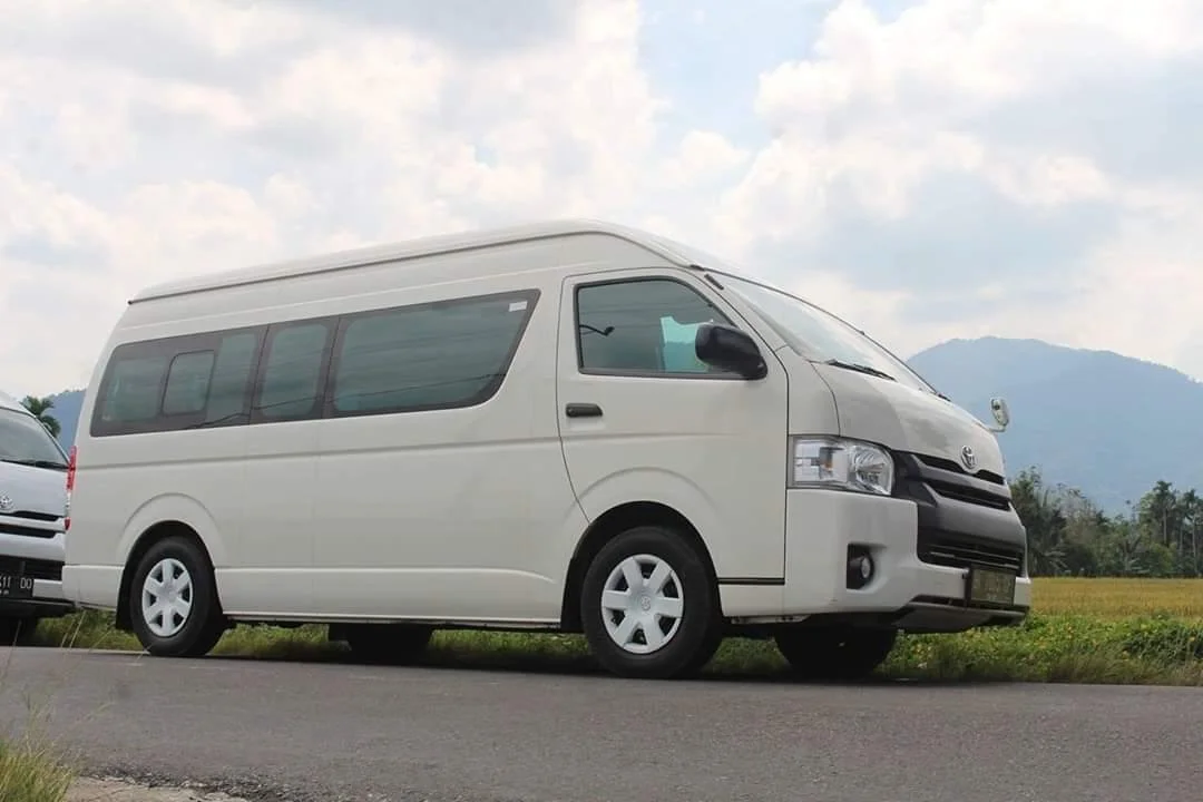 White van parked on the side of the road with a landscape of mountains and cloudy sky in the background.