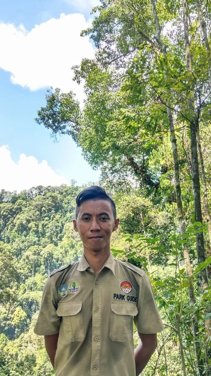 Joko - Sumatra Orangutan Treks Bukit Lawang 
