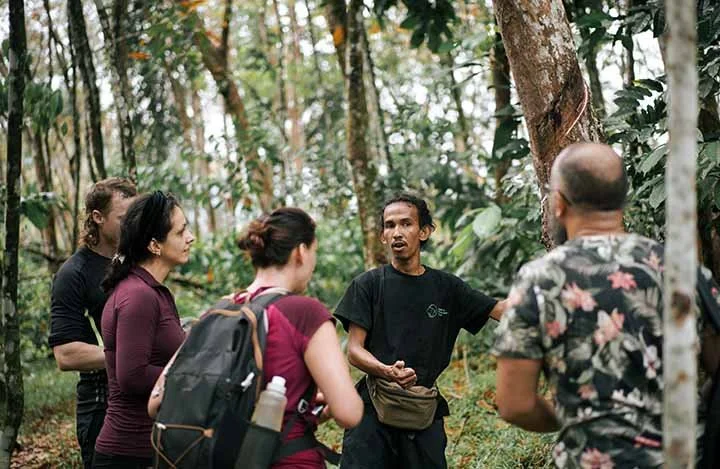 Experience Sustainable Orangutan with Sumatra Orangutan Treks.jpg