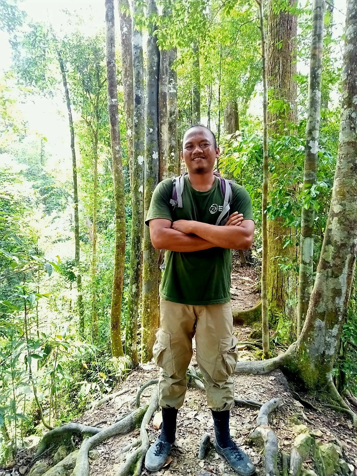 ZANET - Ethical Jungle Trekking In Bukit Lawang | Sumatra Orangutan Treks
