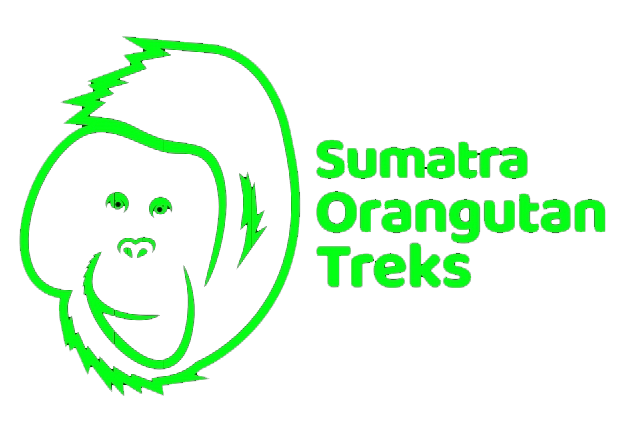 Sumatra Orangutan Treks