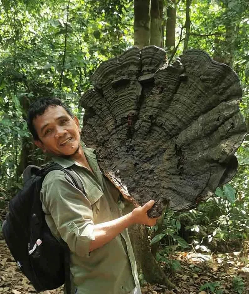 ARMAN PURBA =Certified Jungle Guide | English & French Speaking