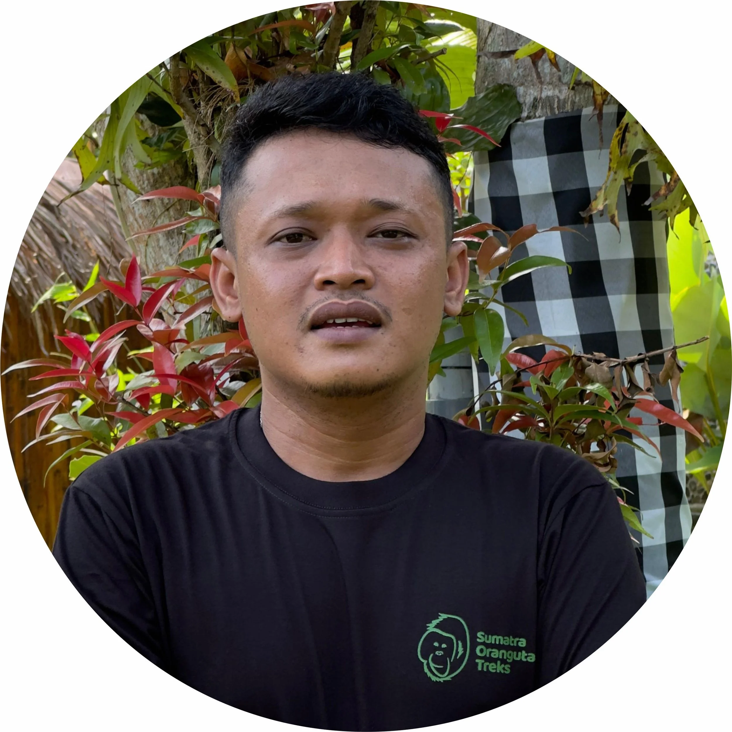 Co-Founder, Owner - Sumatra Orangutan Treks Bukit Lawang