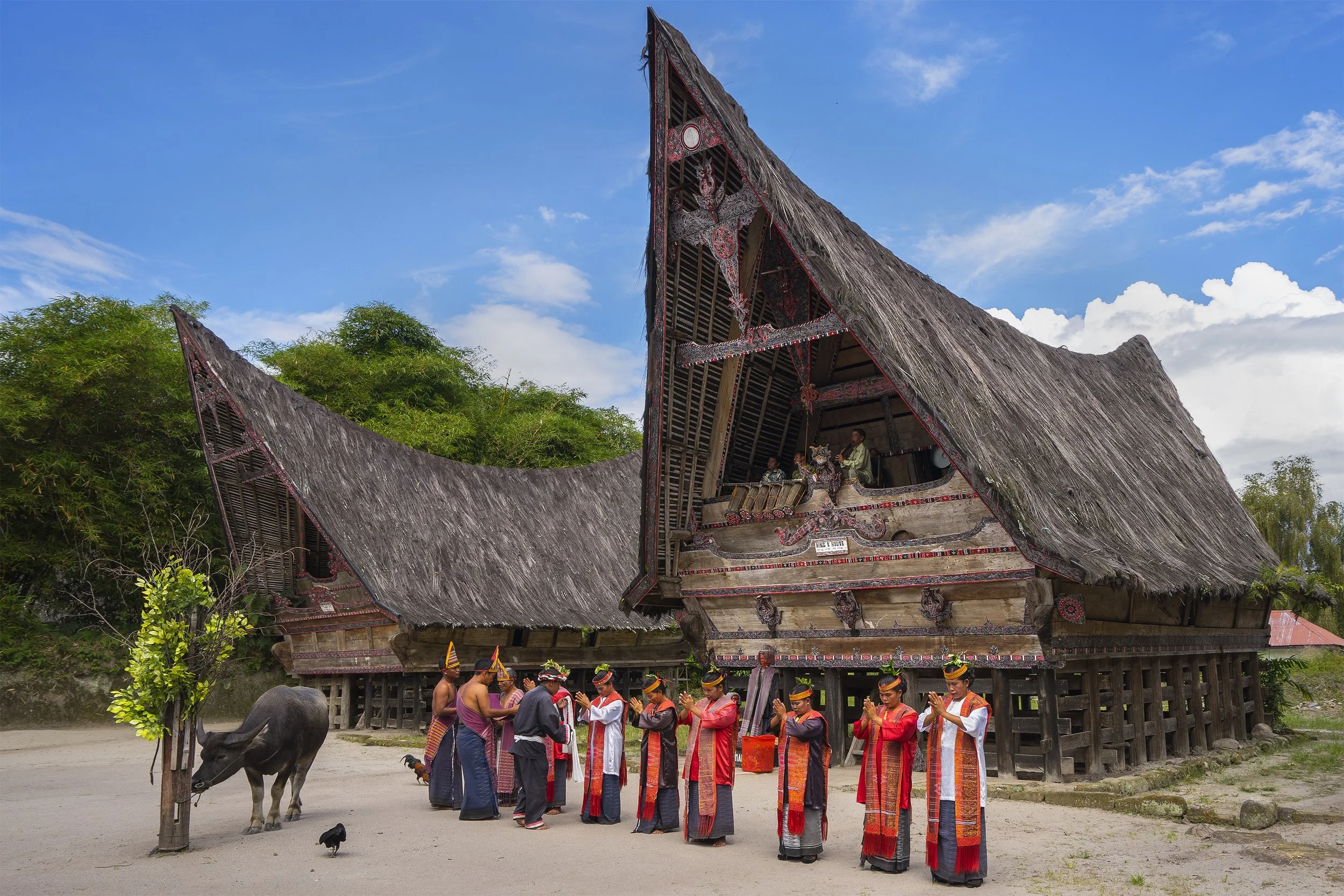 7 Days Wonderful North Sumatra Tour: Orangutans, Volcano Sunrise & Lake Toba Culture