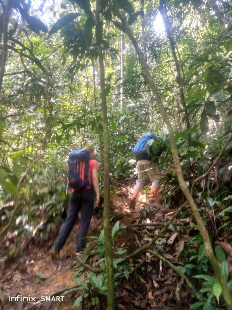 Half Day - Ethical & Eco-Friendly Orangutan Trek in Bukit Lawang -1.jpeg