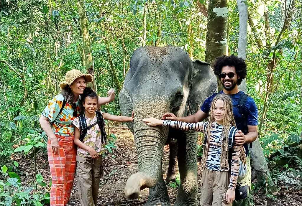 1-Day Ethical Elephant Adventure – Tangkahan.webp