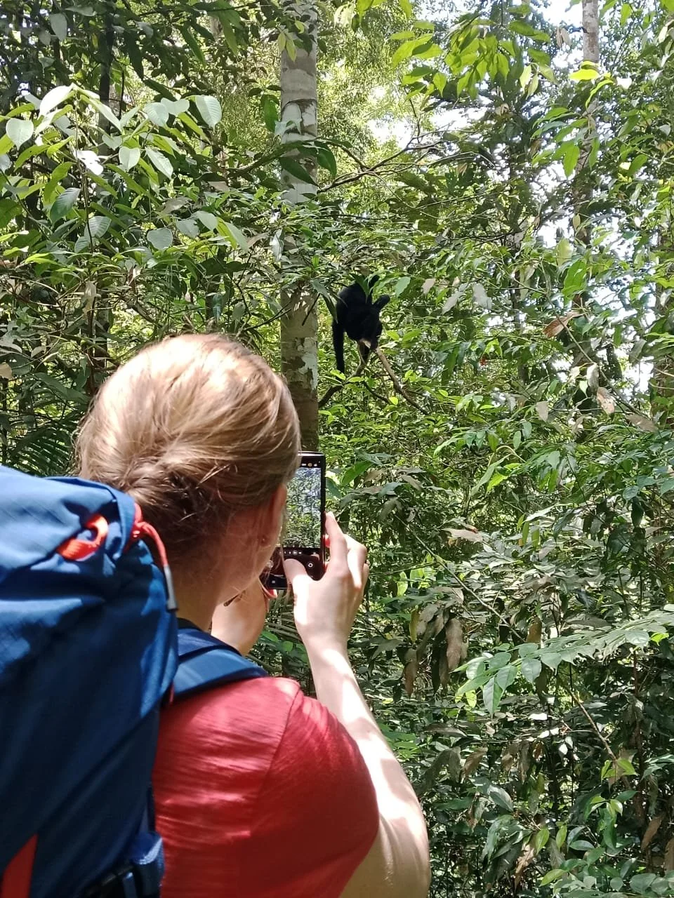 Bukit Lawang : 5 Days Ethical  And Eco-Friendly  Jungle Trekking  , Sumatra Eco Lodge.