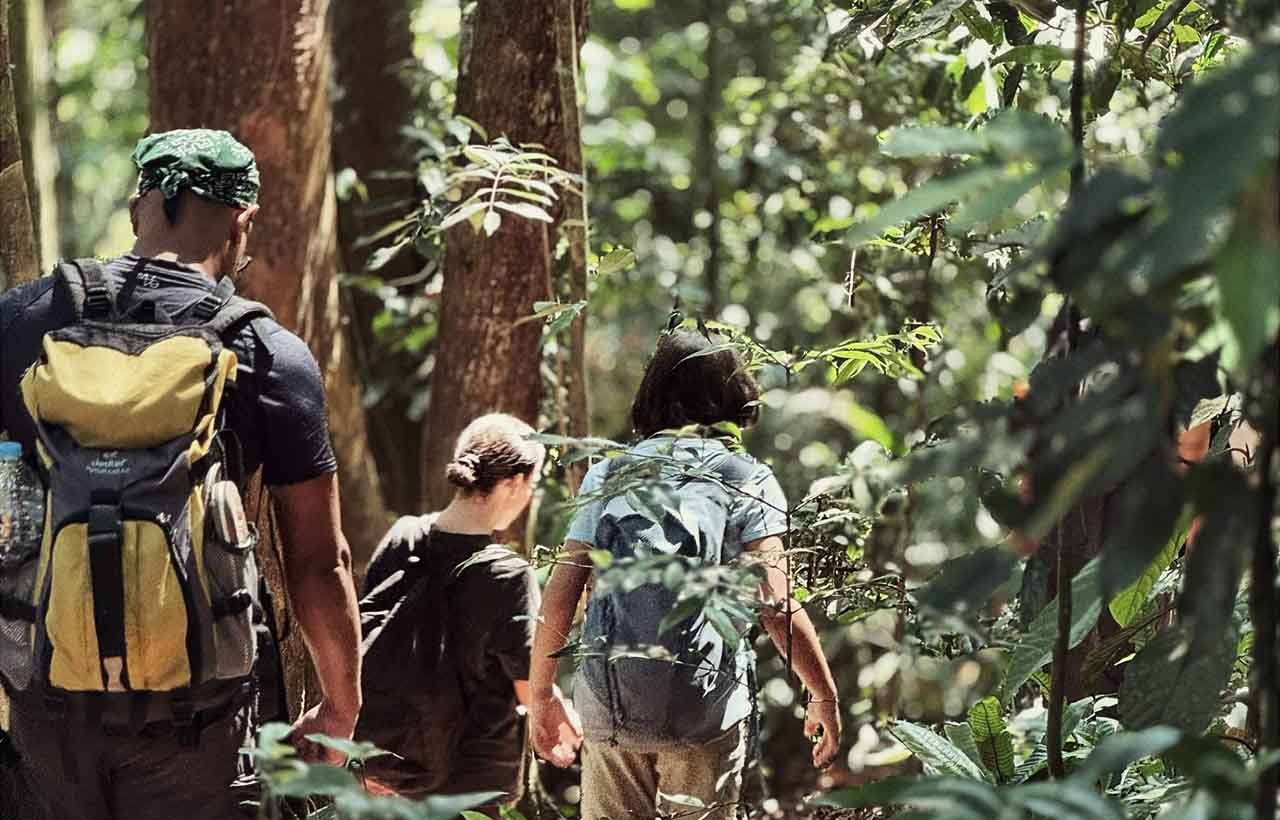 Bukit Lawang 2 Days Treks.jpg