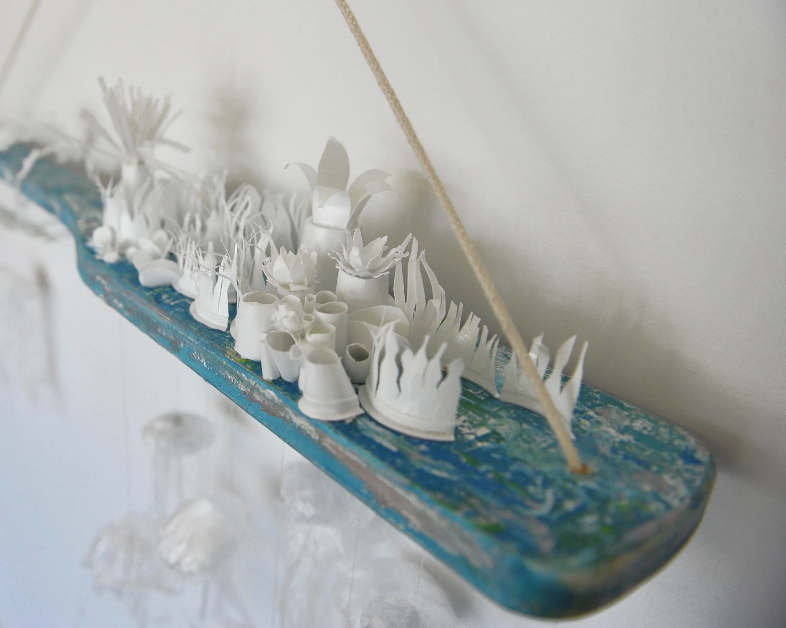 Michelle Levesque — Scituate Education Foundation | SEF