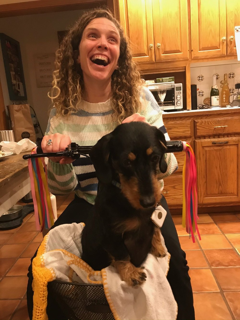 Bright Spots — Scituate Education Foundation | Sef