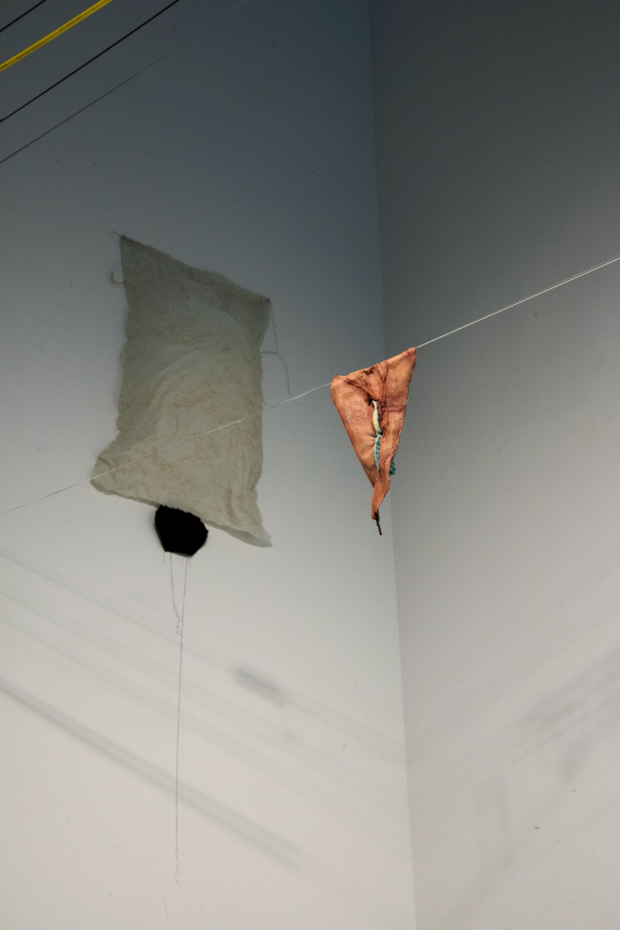 4d.jpg