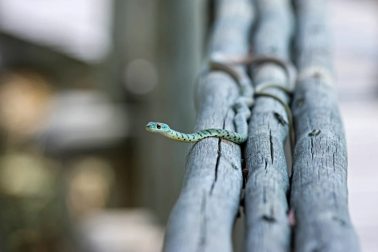 Sometimes life throws us colorful surprises!