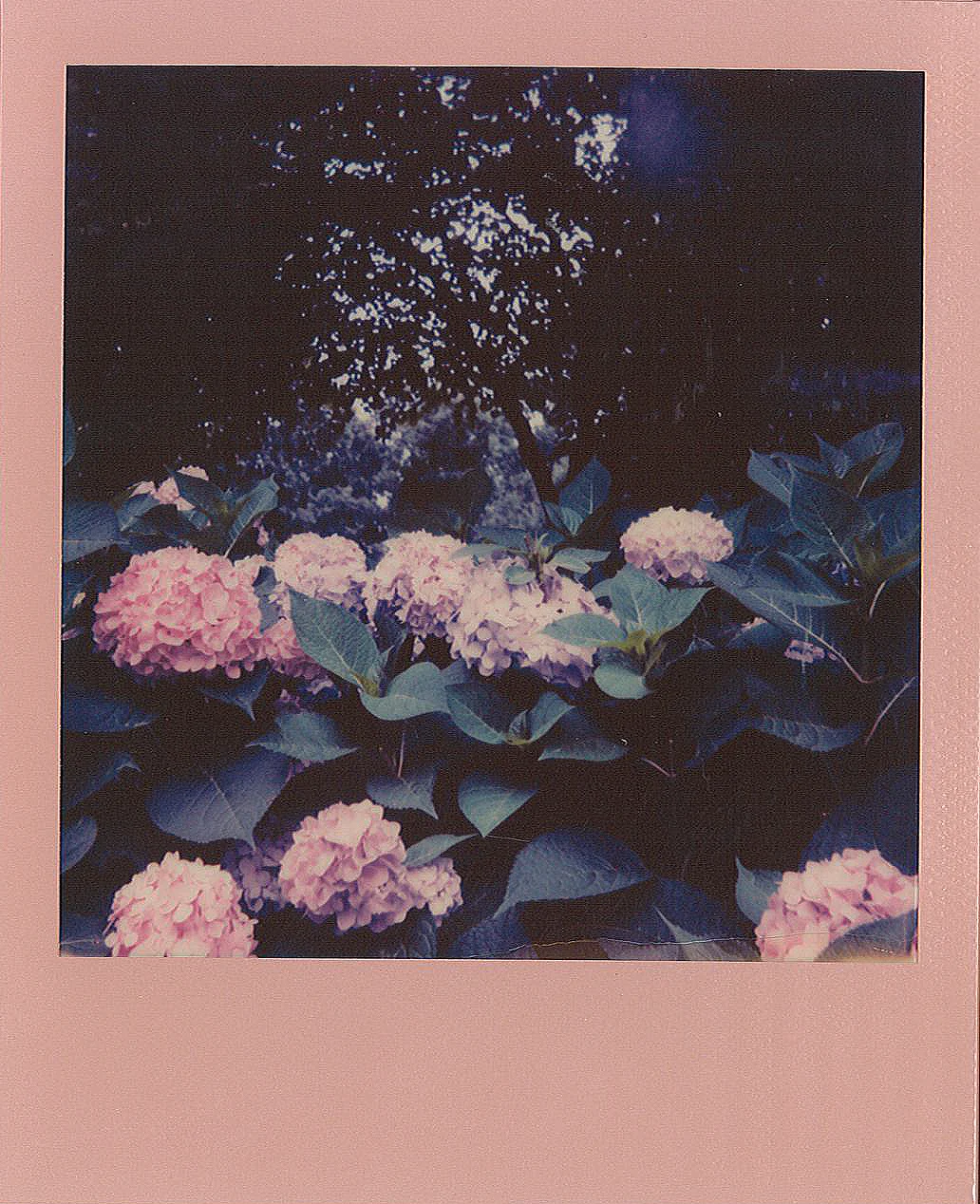 Polaroid I-type
