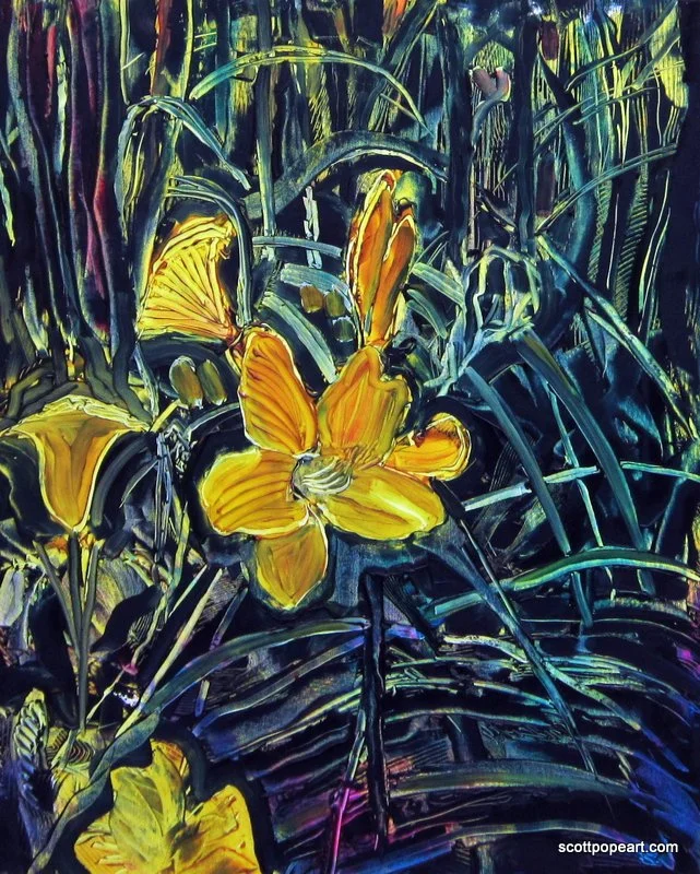 Daffodils