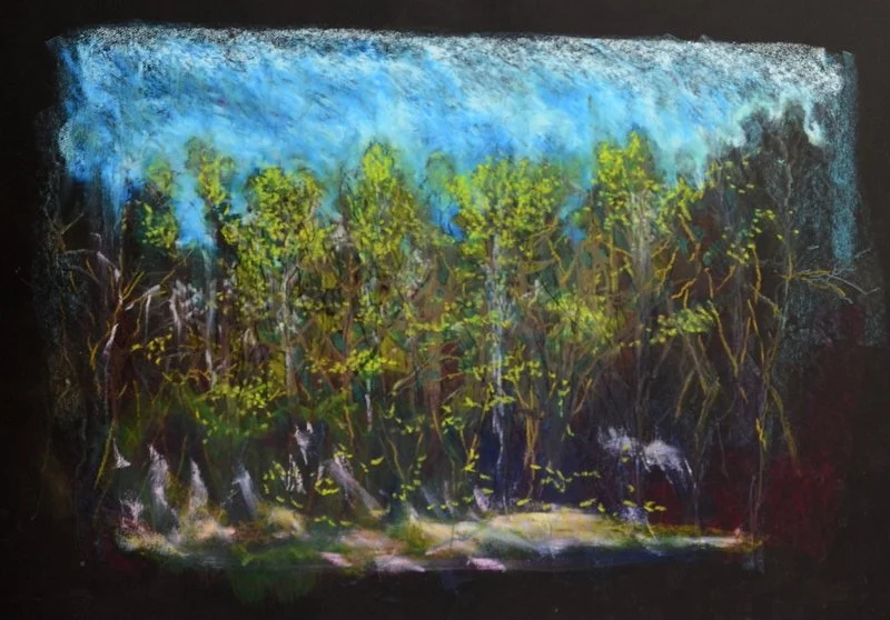 Forest Light
