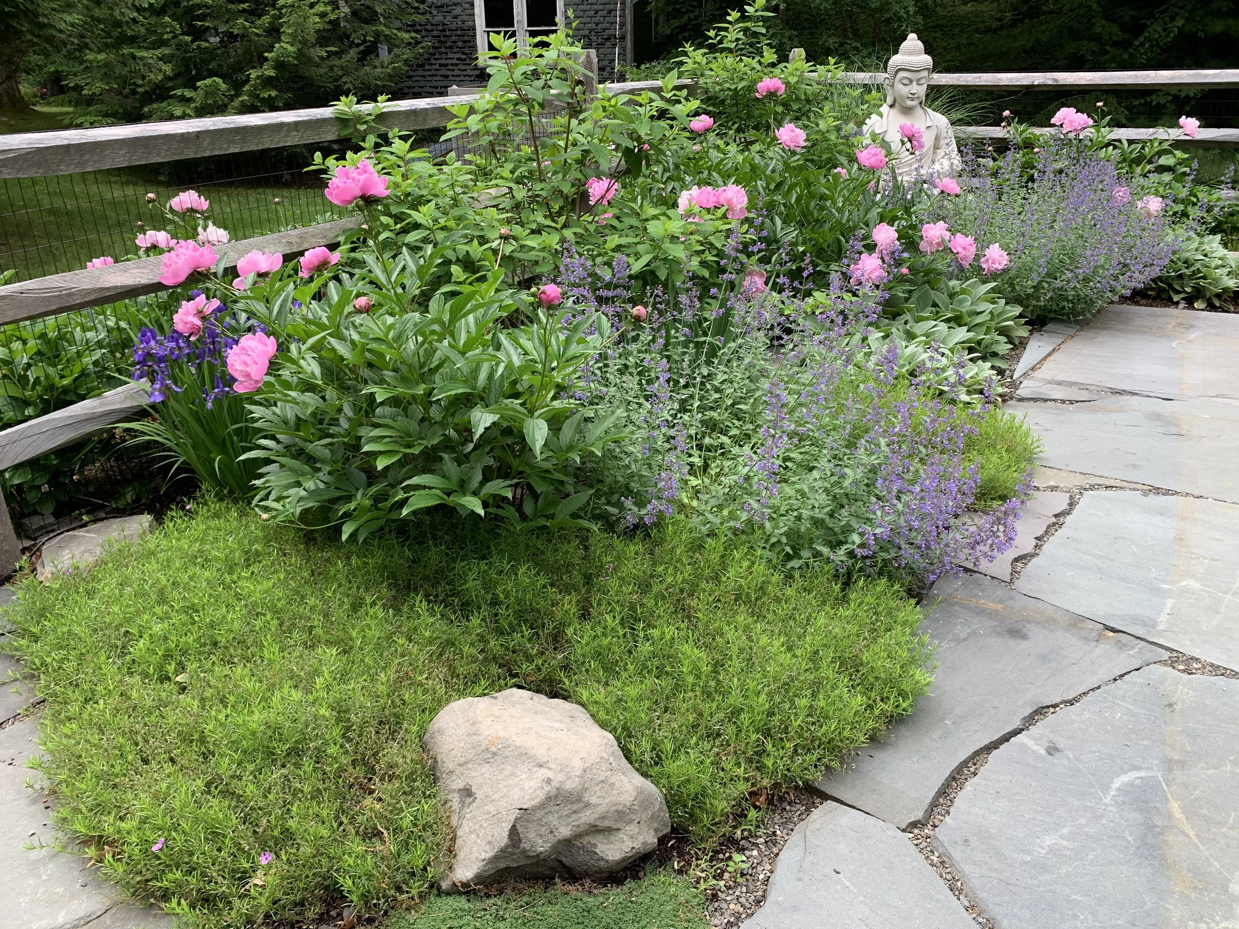 Emspack entry June 21 best.JPG