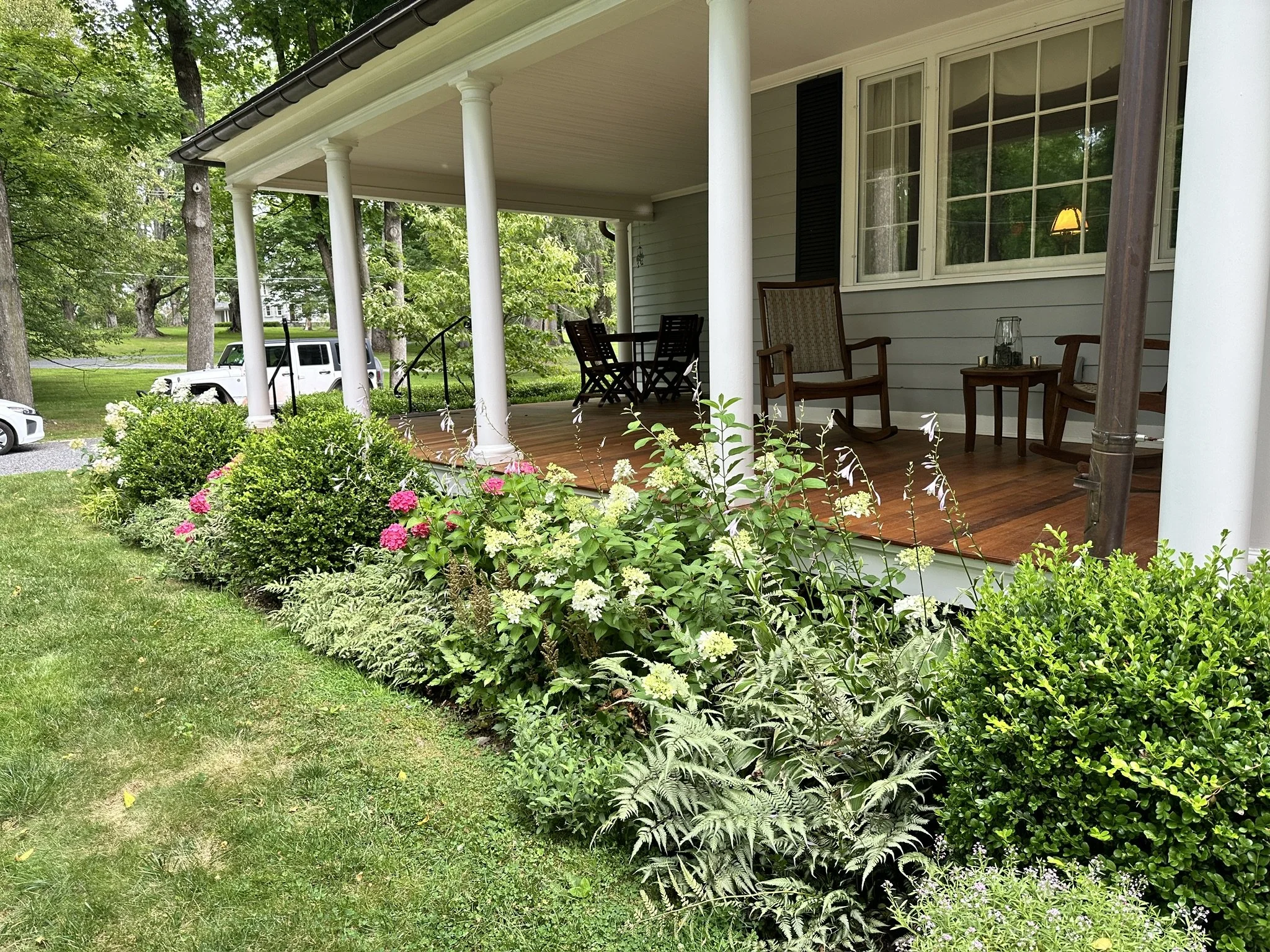 front border garden.JPG