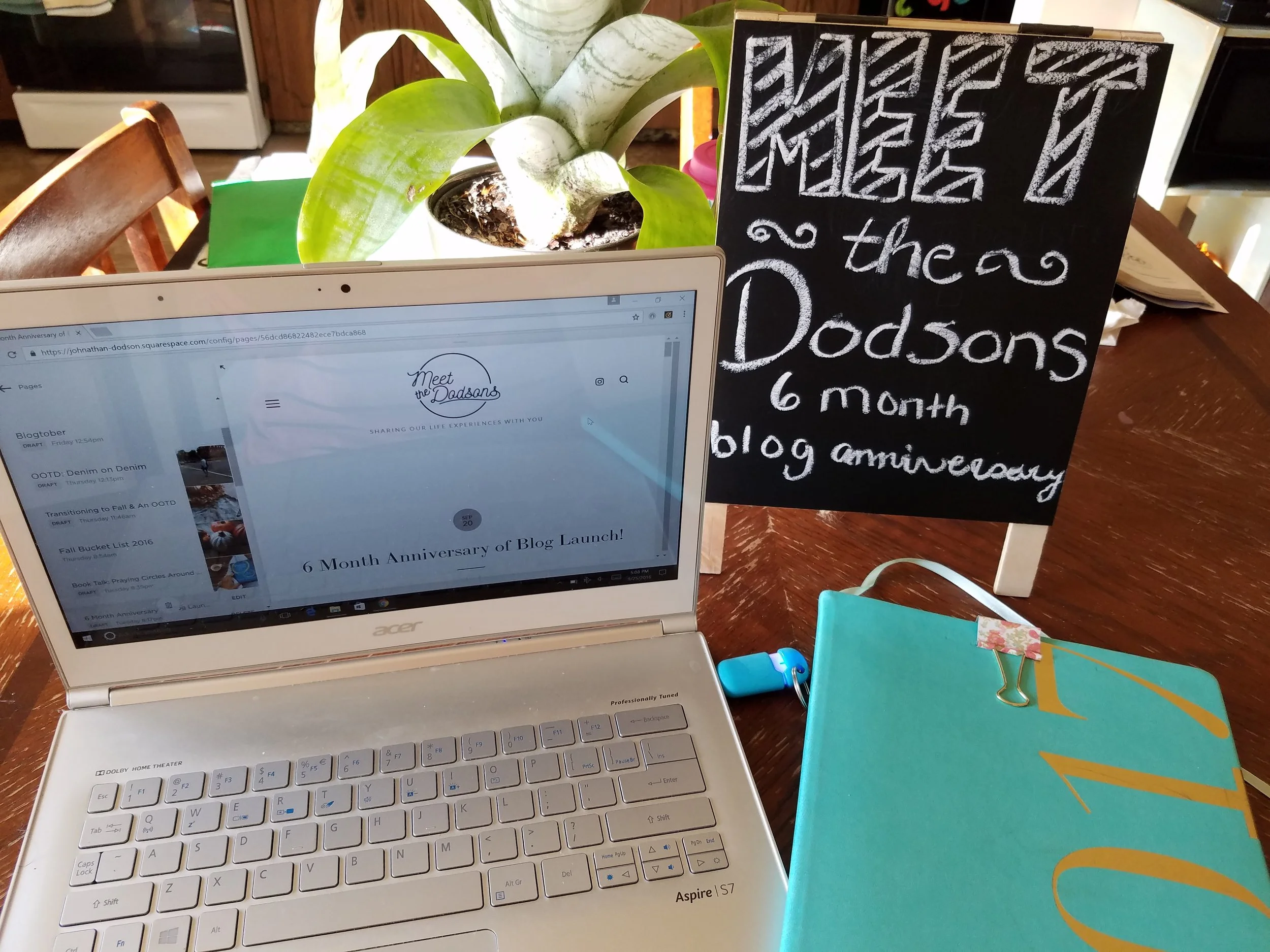 6 Month Anniversary of Blog Launch!