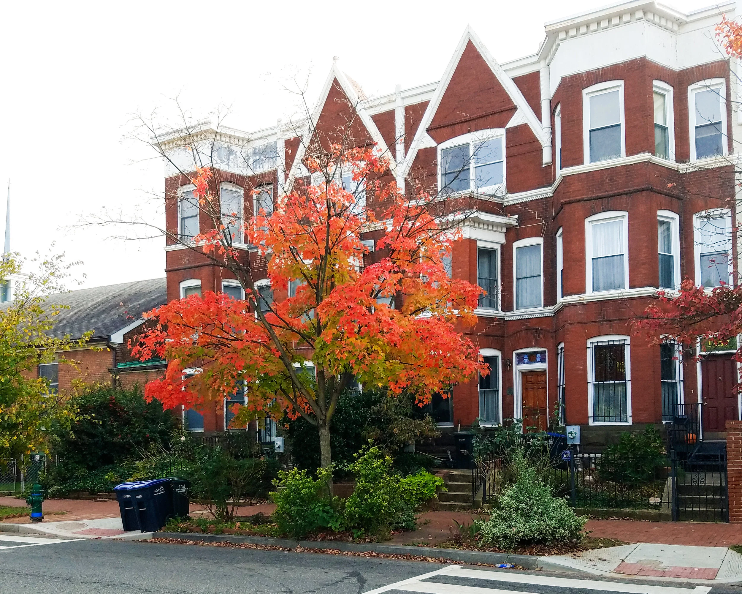 Fall Bucket List:2018