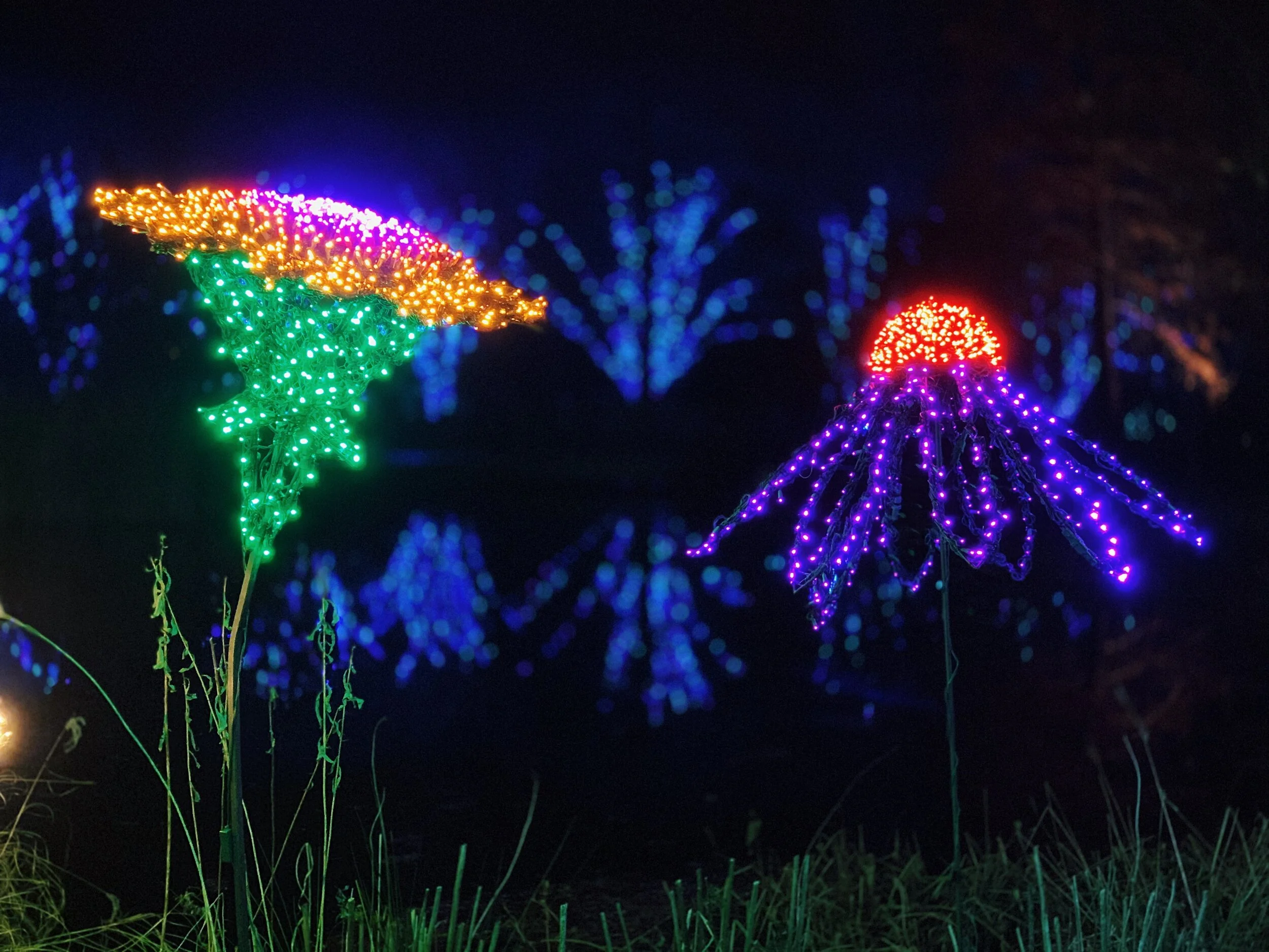 Dominion Garden Fest of Lights