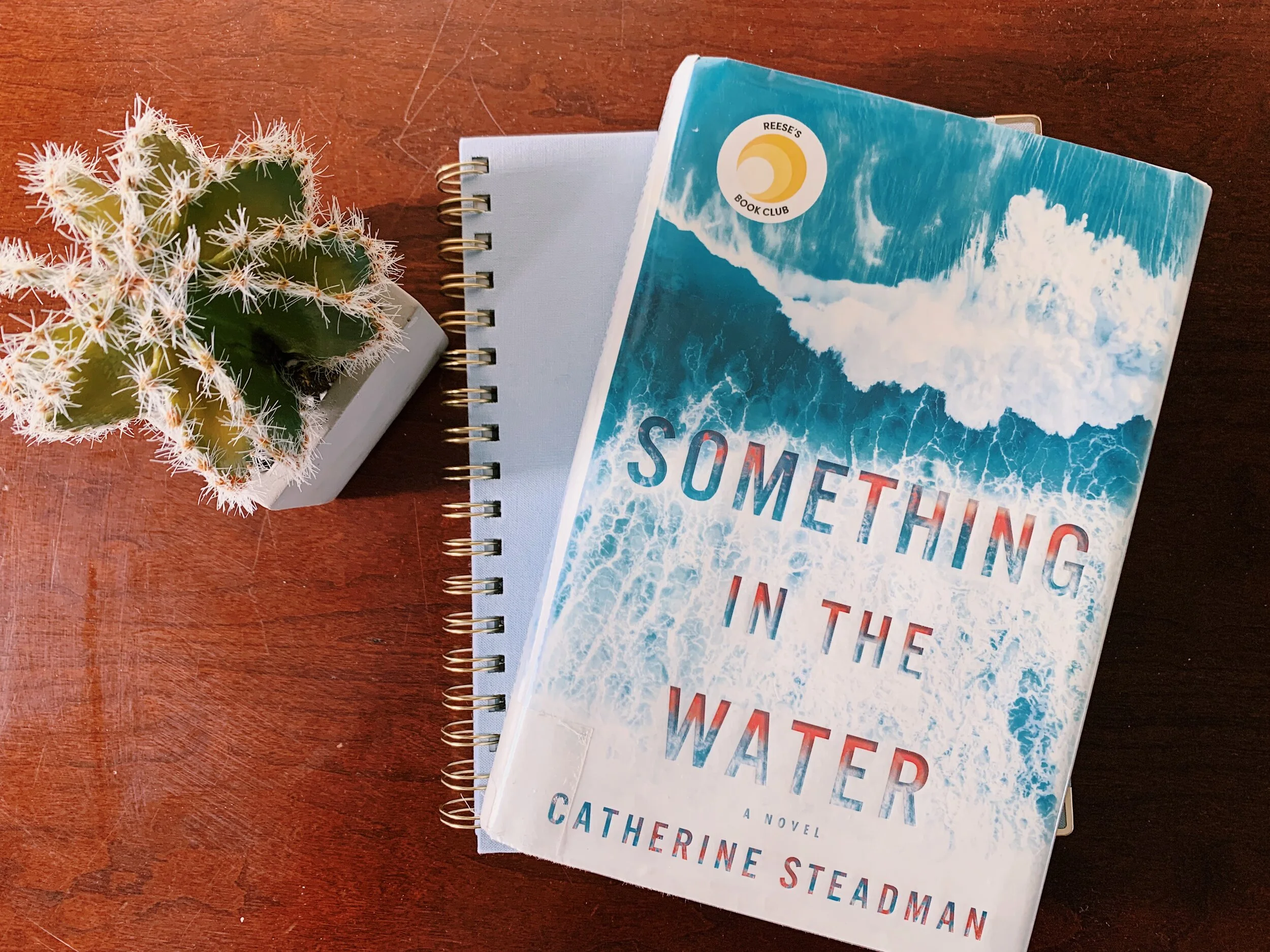 Book Talk: Something in the Water