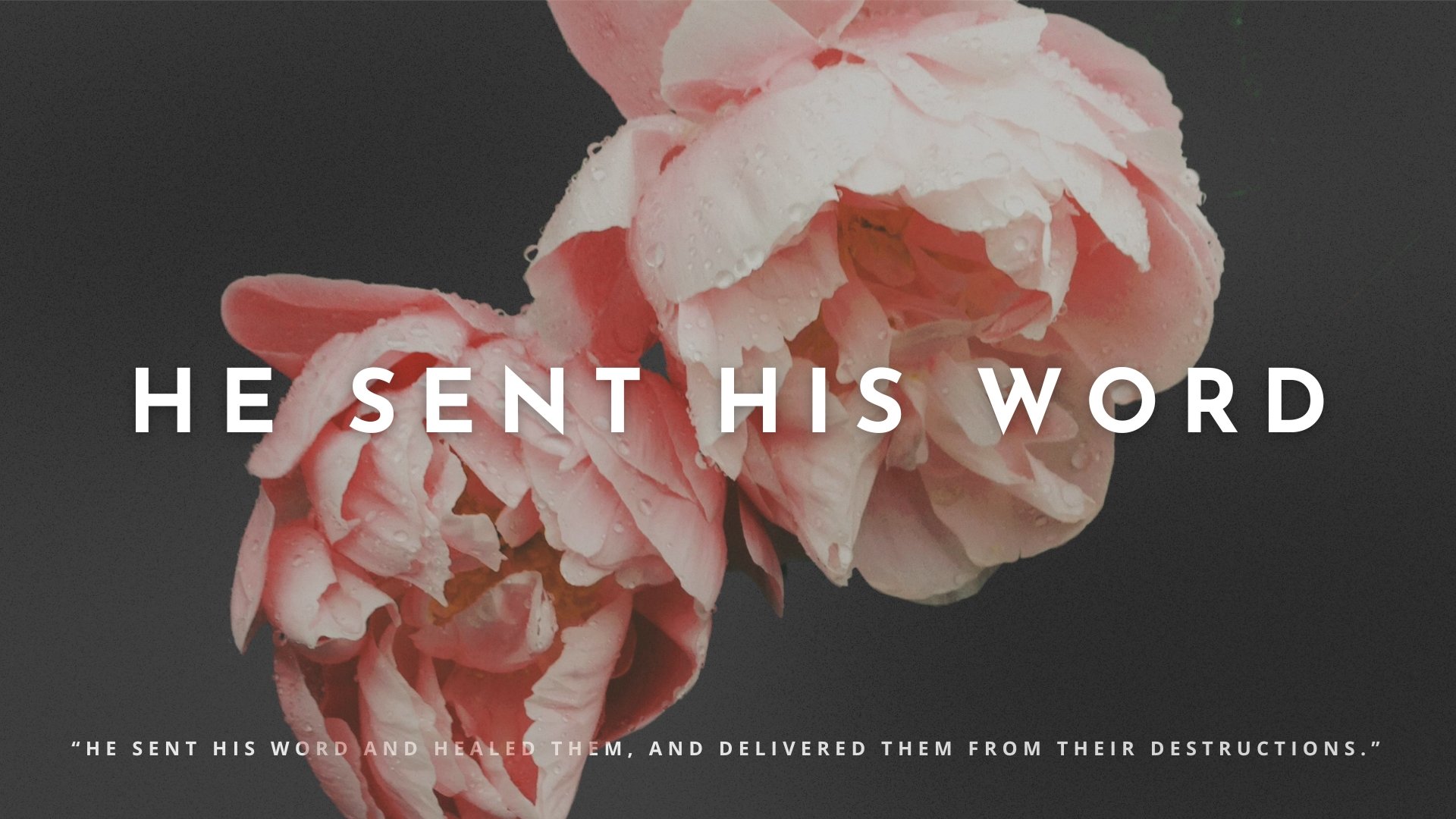 He Sent His Word